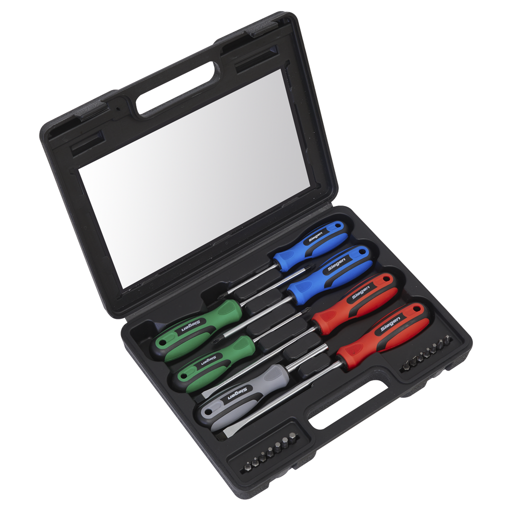 Screwdriver Set 21pc S0923