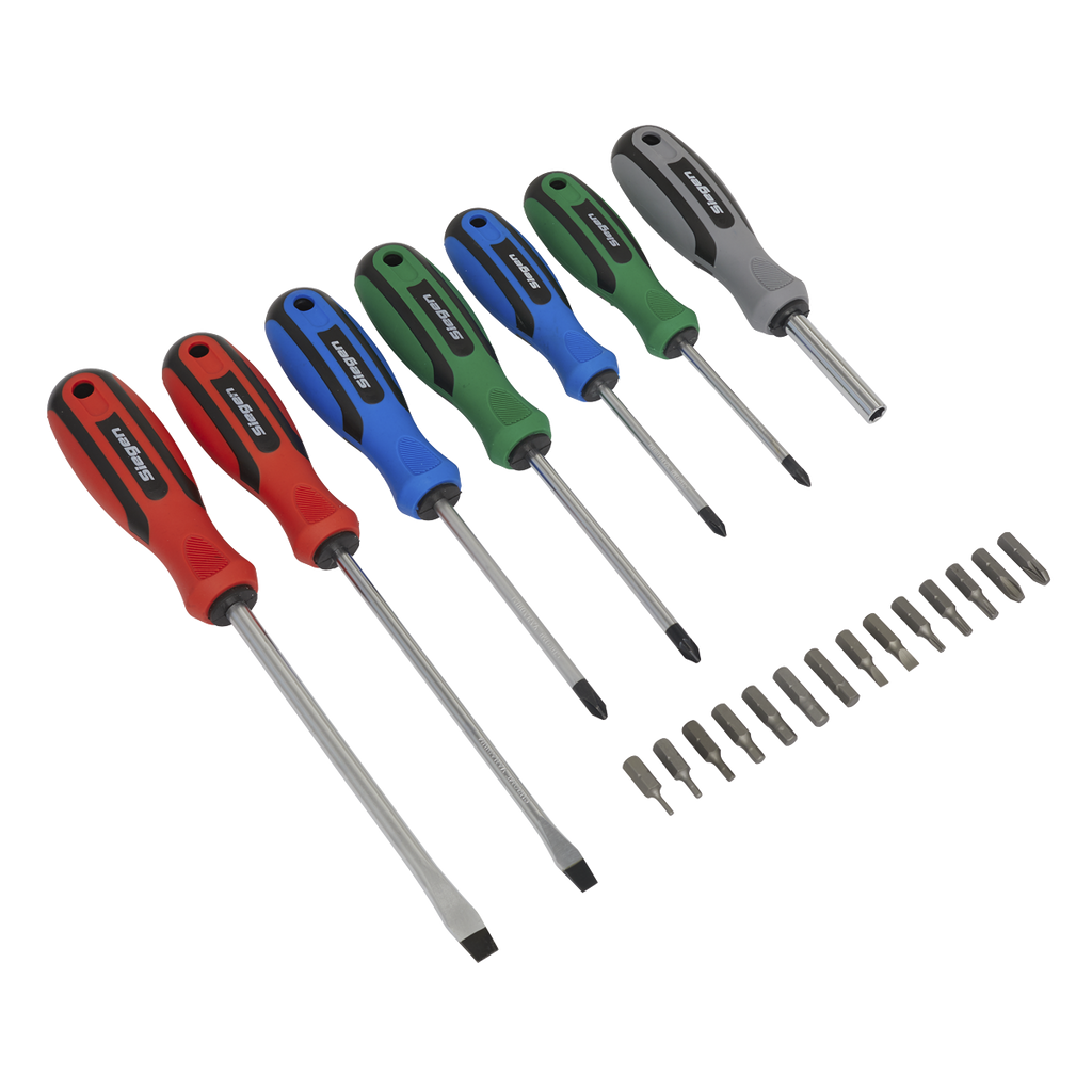Screwdriver Set 21pc S0923