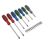 Screwdriver Set 21pc S0923