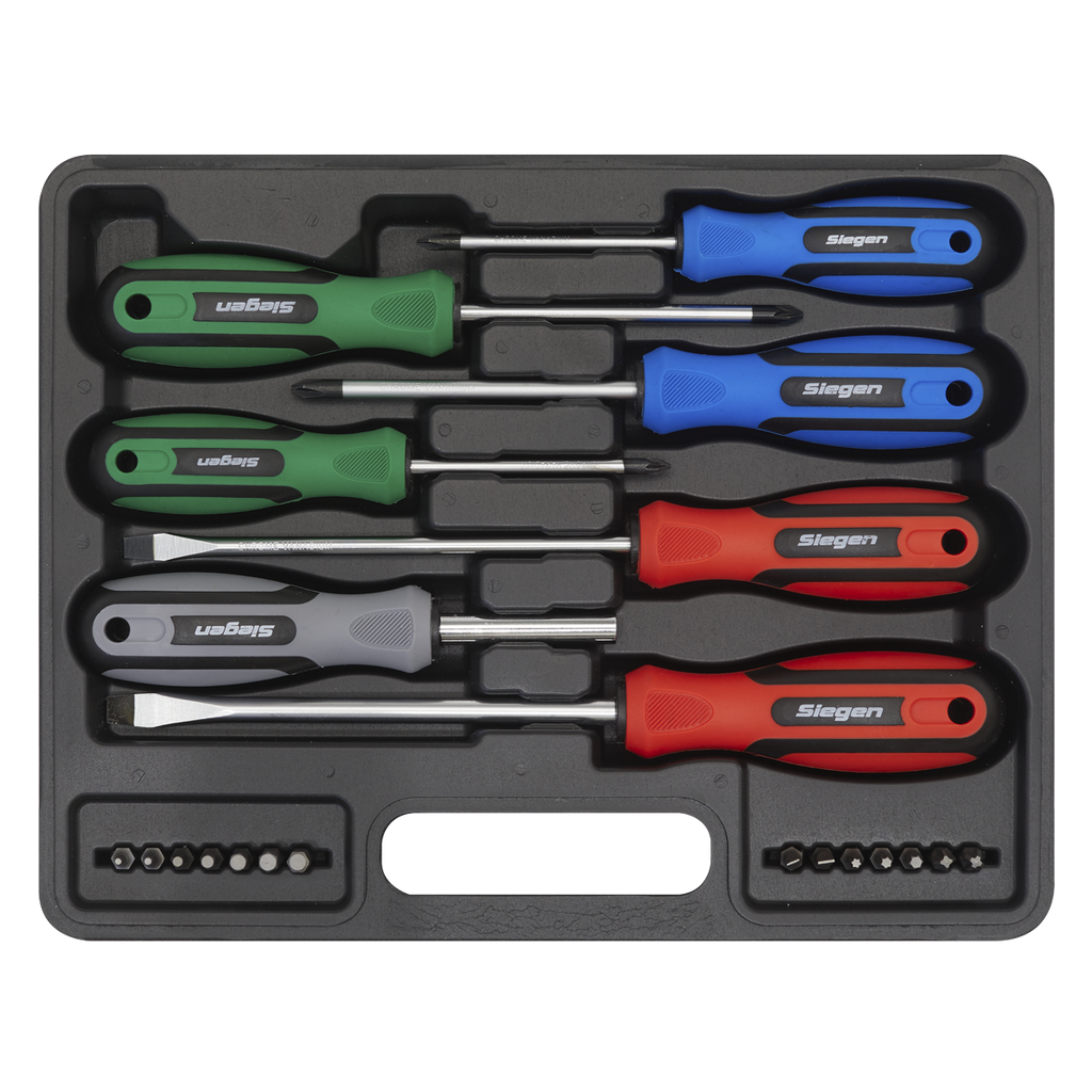 Screwdriver Set 21pc S0923