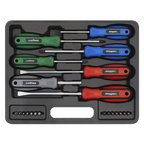 Screwdriver Set 21pc S0923