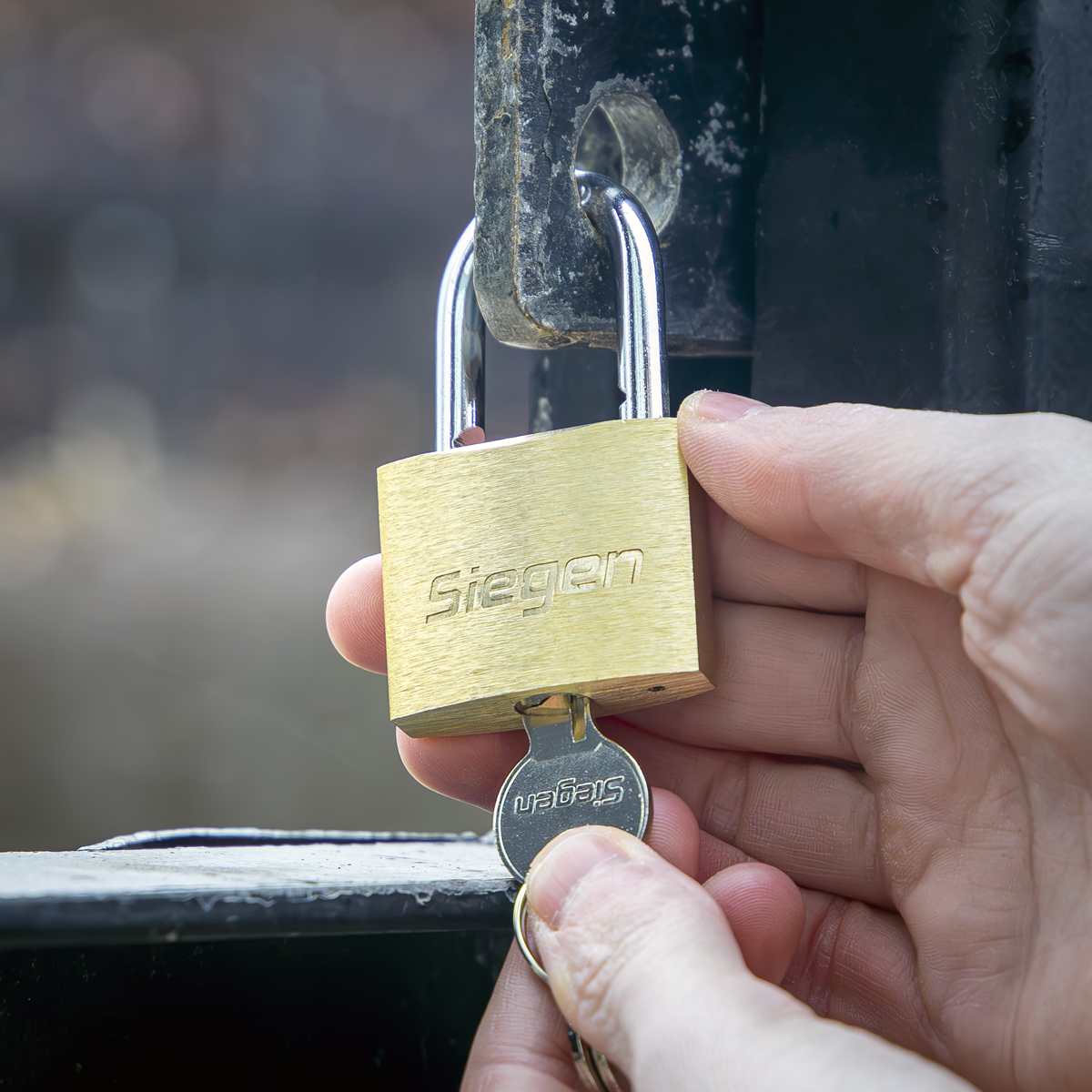 Brass Body Padlock with Brass Cylinder 40mm S0987