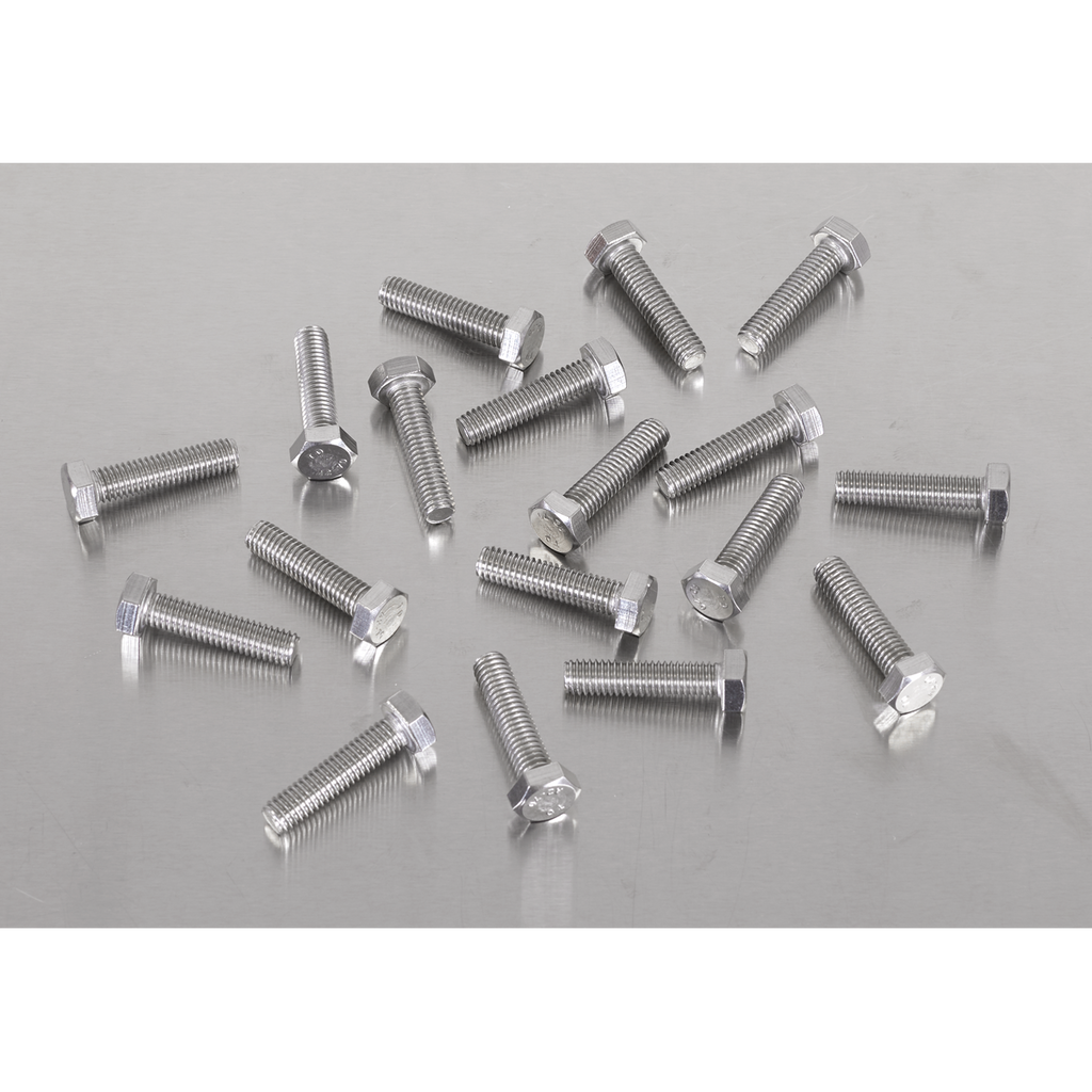Stainless Steel Set Screw M6 x 25mm 1mm Pitch, DIN 933 - Pack of 50 S625S
