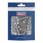 Stainless Steel Set Screw M6 x 25mm 1mm Pitch, DIN 933 - Pack of 50 S625S
