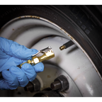 Tyre Inflator with Clip-On Connector SA399