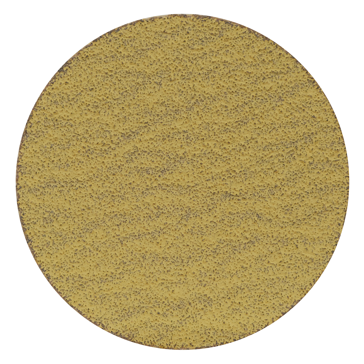 50mm Sanding Disc 80Grit - Pack of 10 SA701D80G