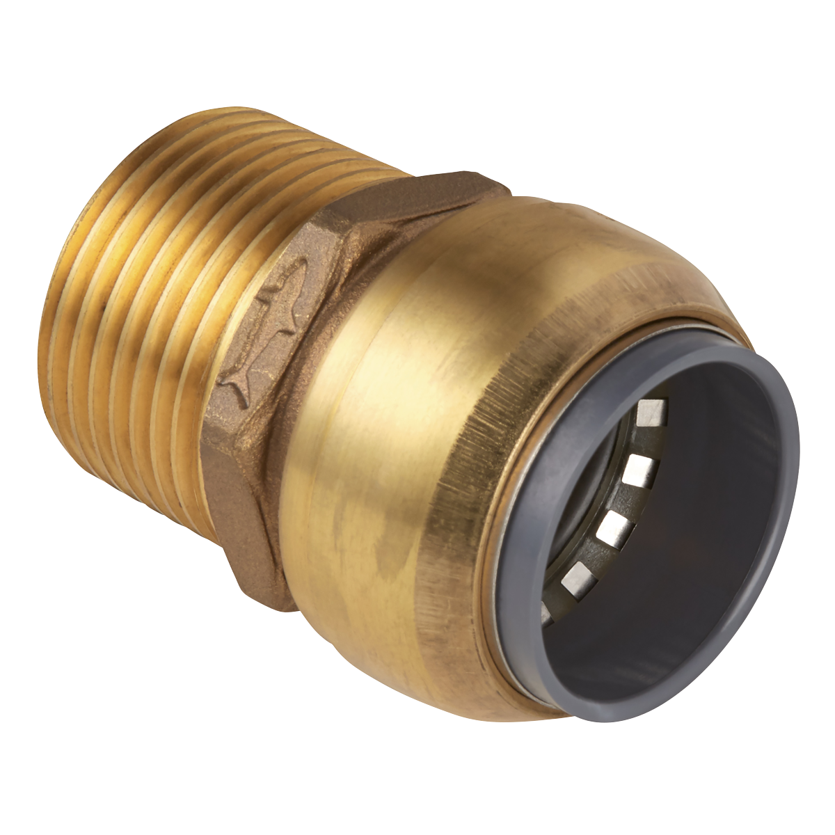 SharkBite® Brass Straight Adaptor 28mm x 1"BSPT SBA28BSA