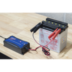12V Fully Automatic Battery Maintainer/Charger 4A SBC4
