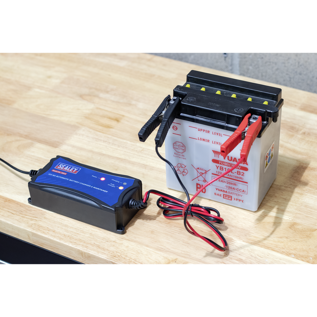 12V Fully Automatic Battery Maintainer/Charger 6A SBC6