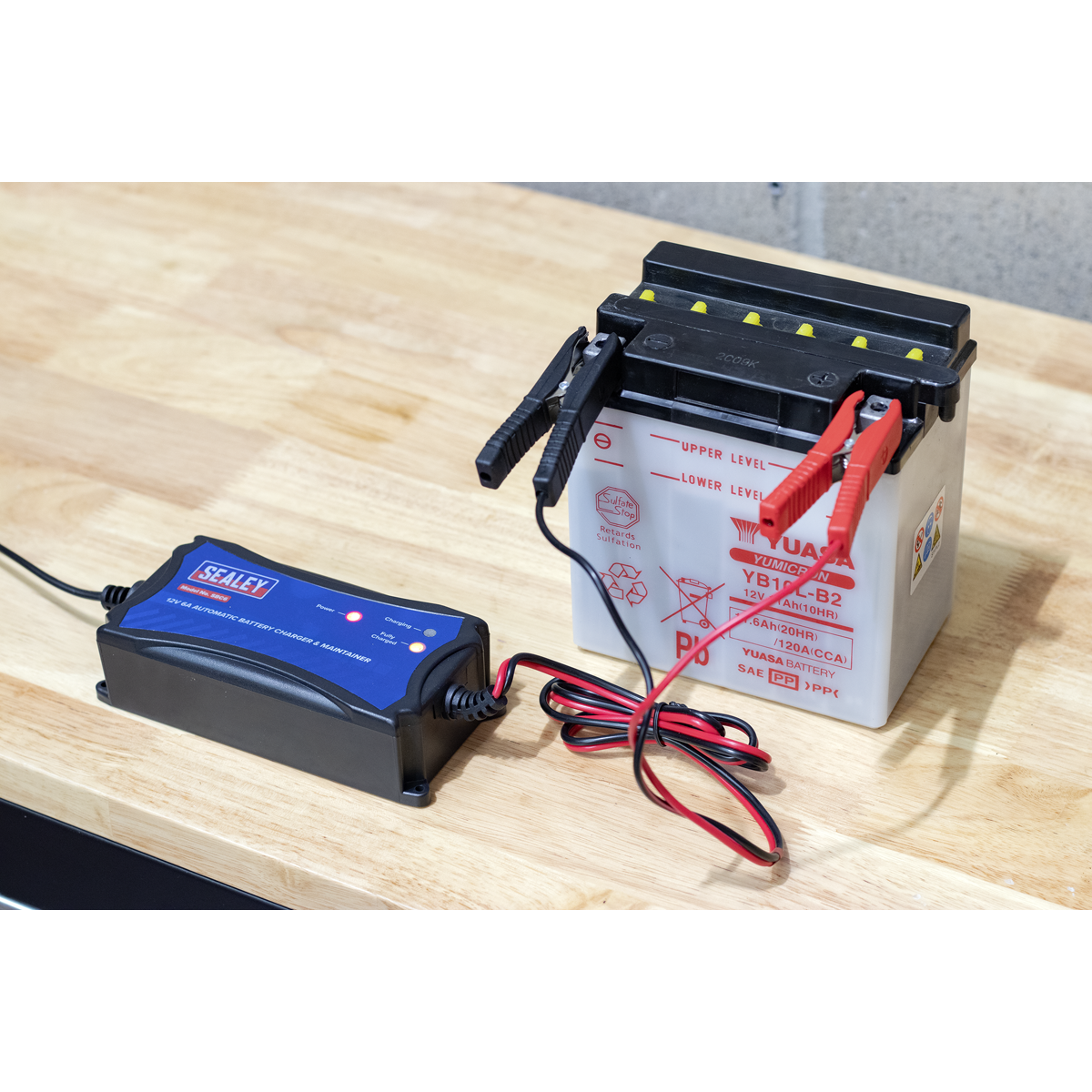 12V Fully Automatic Battery Maintainer/Charger 6A SBC6
