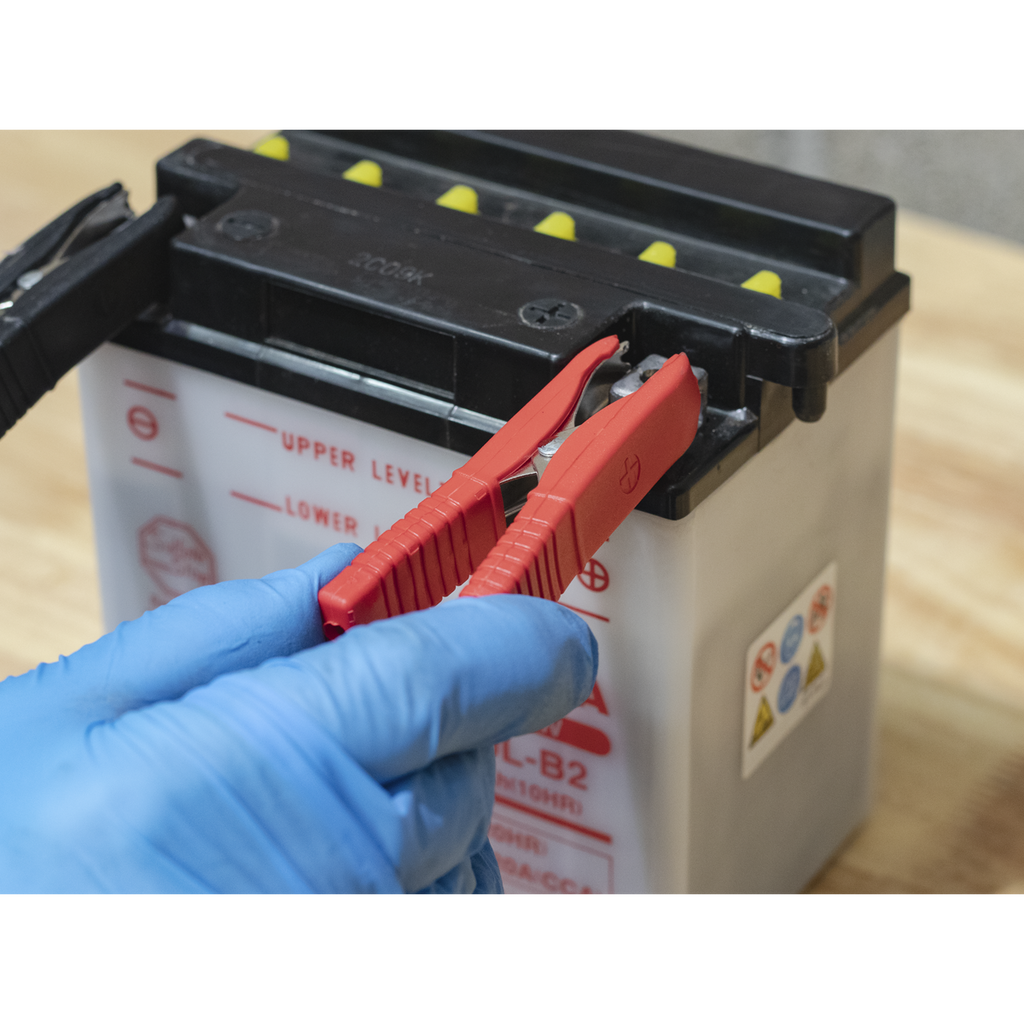 12V Fully Automatic Battery Maintainer/Charger 6A SBC6