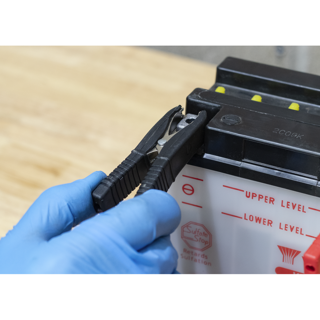 12V Fully Automatic Battery Maintainer/Charger 6A SBC6