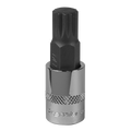 Spline Socket Bit 3/8"Sq Drive M12 SBS009