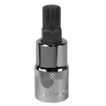 Spline Socket Bit 1/2"Sq Drive M12 SBS016