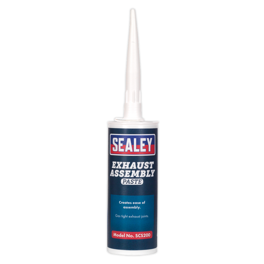 Exhaust Assembly Paste 300g SCS200