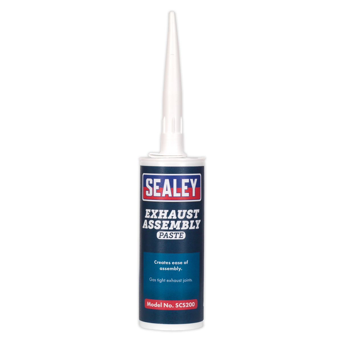 Exhaust Assembly Paste 300g SCS200