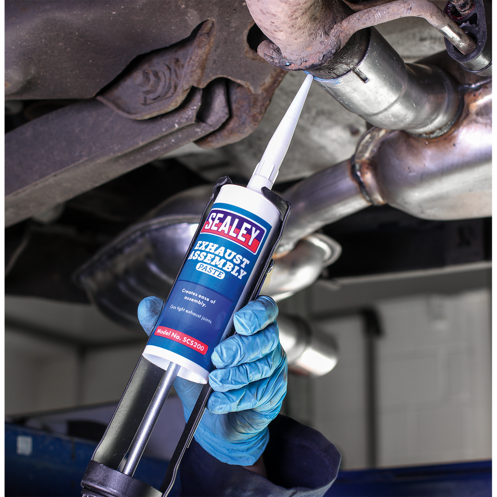 Exhaust Assembly Paste 300g SCS200