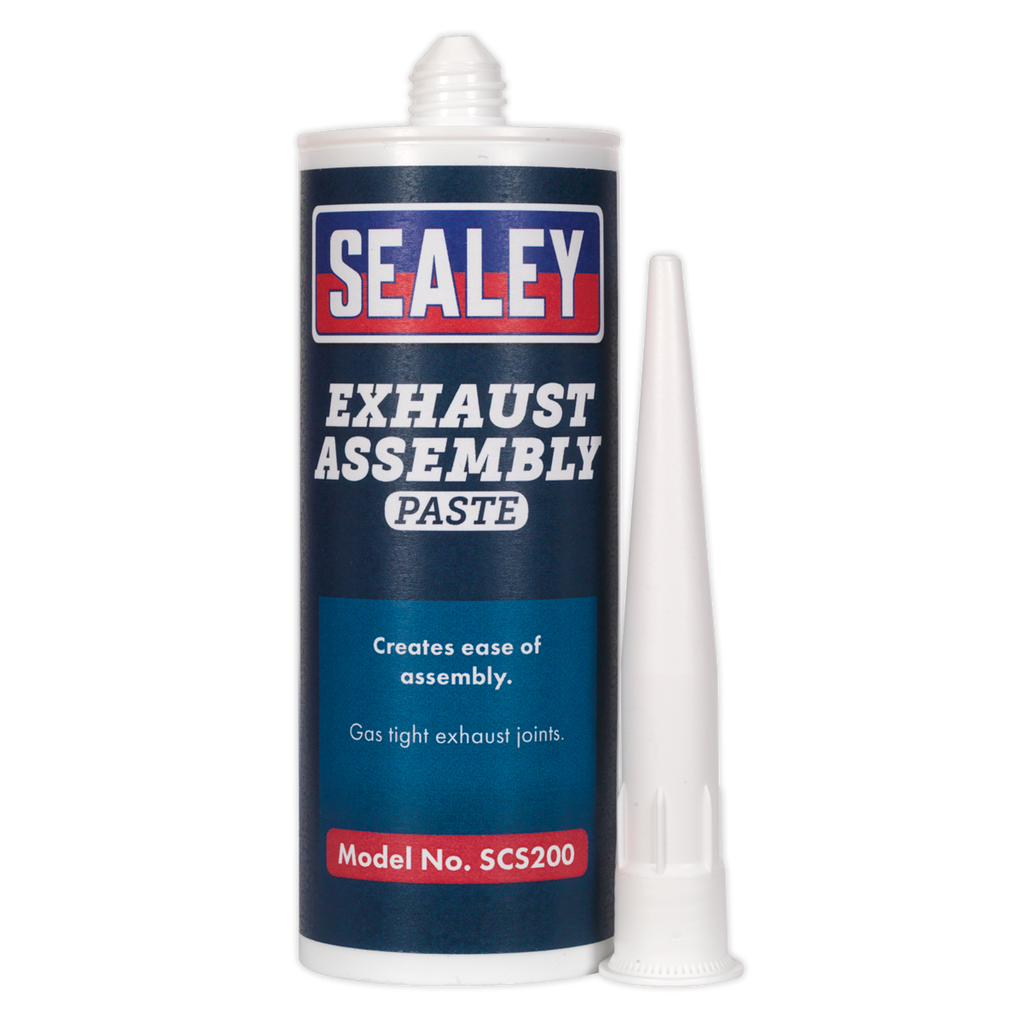 Exhaust Assembly Paste 300g SCS200