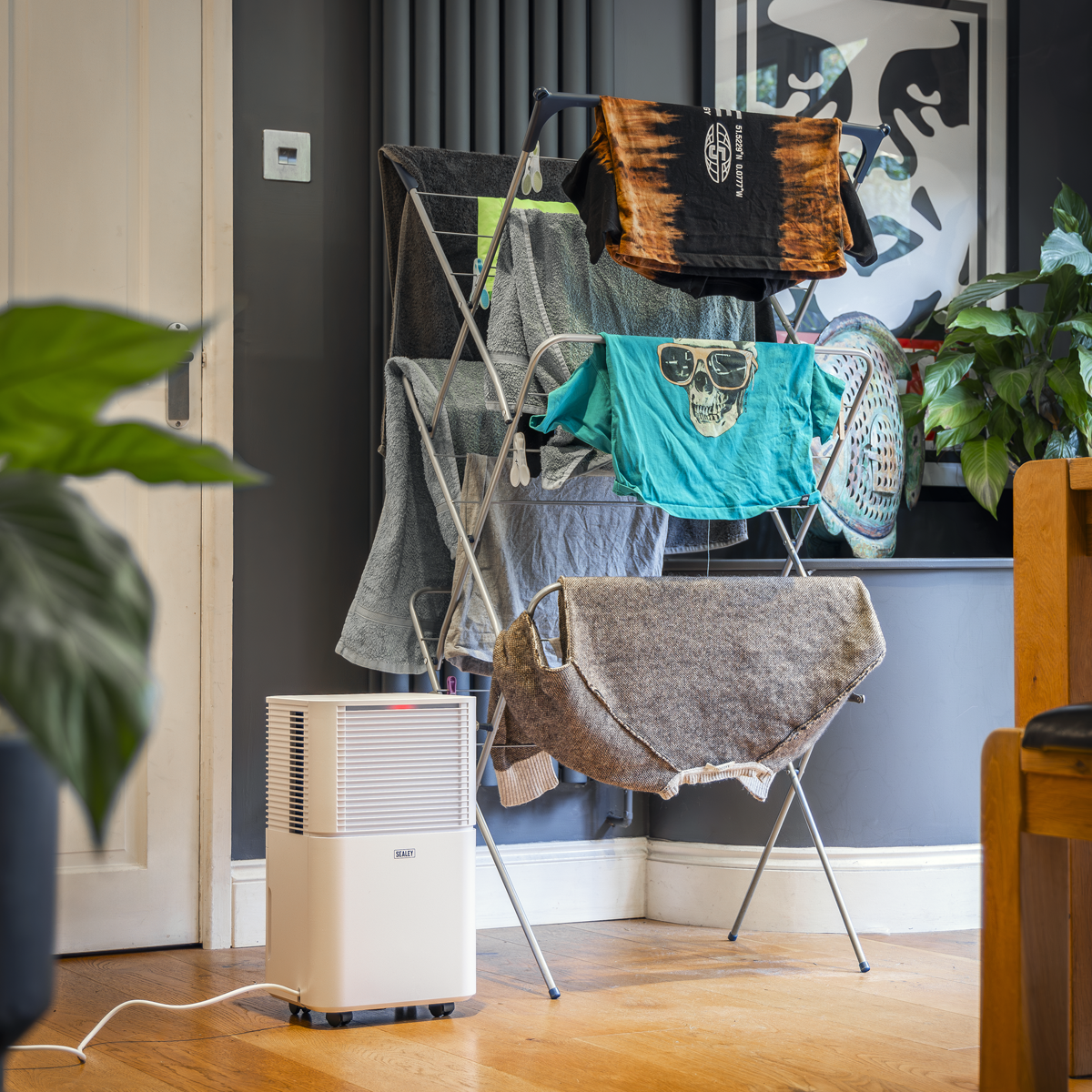Dehumidifier with Laundry Mode 10L SDH102