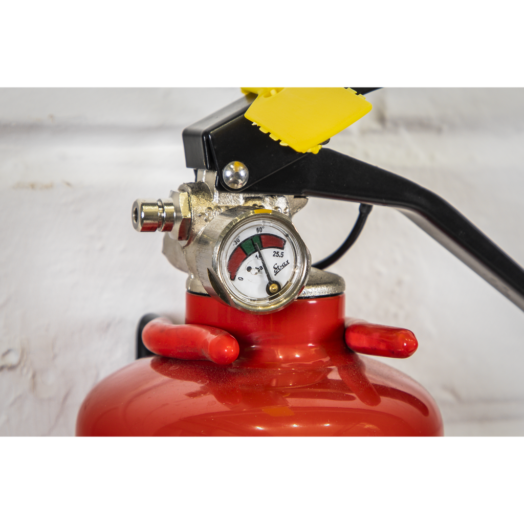 Dry Powder Fire Extinguisher 1kg SDPE01