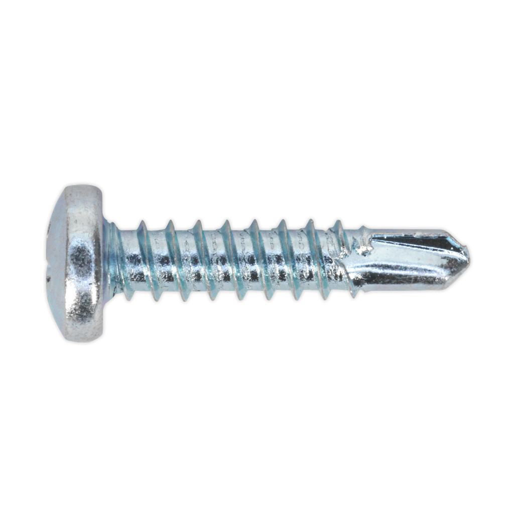 Zinc Plated Self-Drilling Pan Head Phillips Screw Assortment 500pc AB060SDS