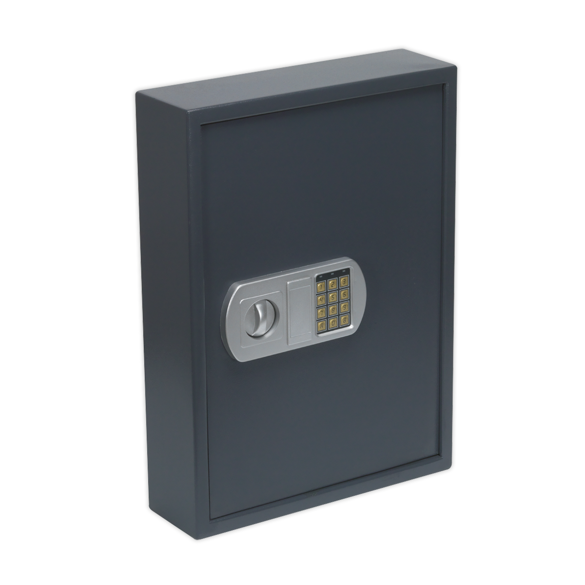 Electronic Key Cabinet 100 Key Capacity SEKC100