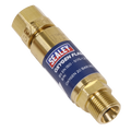 Oxygen Flash Back Arrestor SGA3/FBA