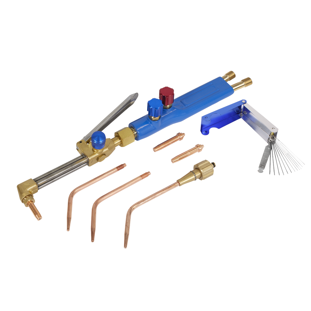 Oxyacetylene Welding/Cutting Torch Set SGA60