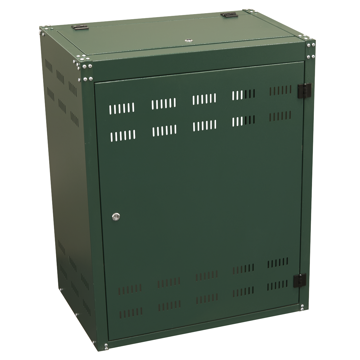 Solid Gas Cylinder Safety Cabinet - 2 x 19kg SGCSC219