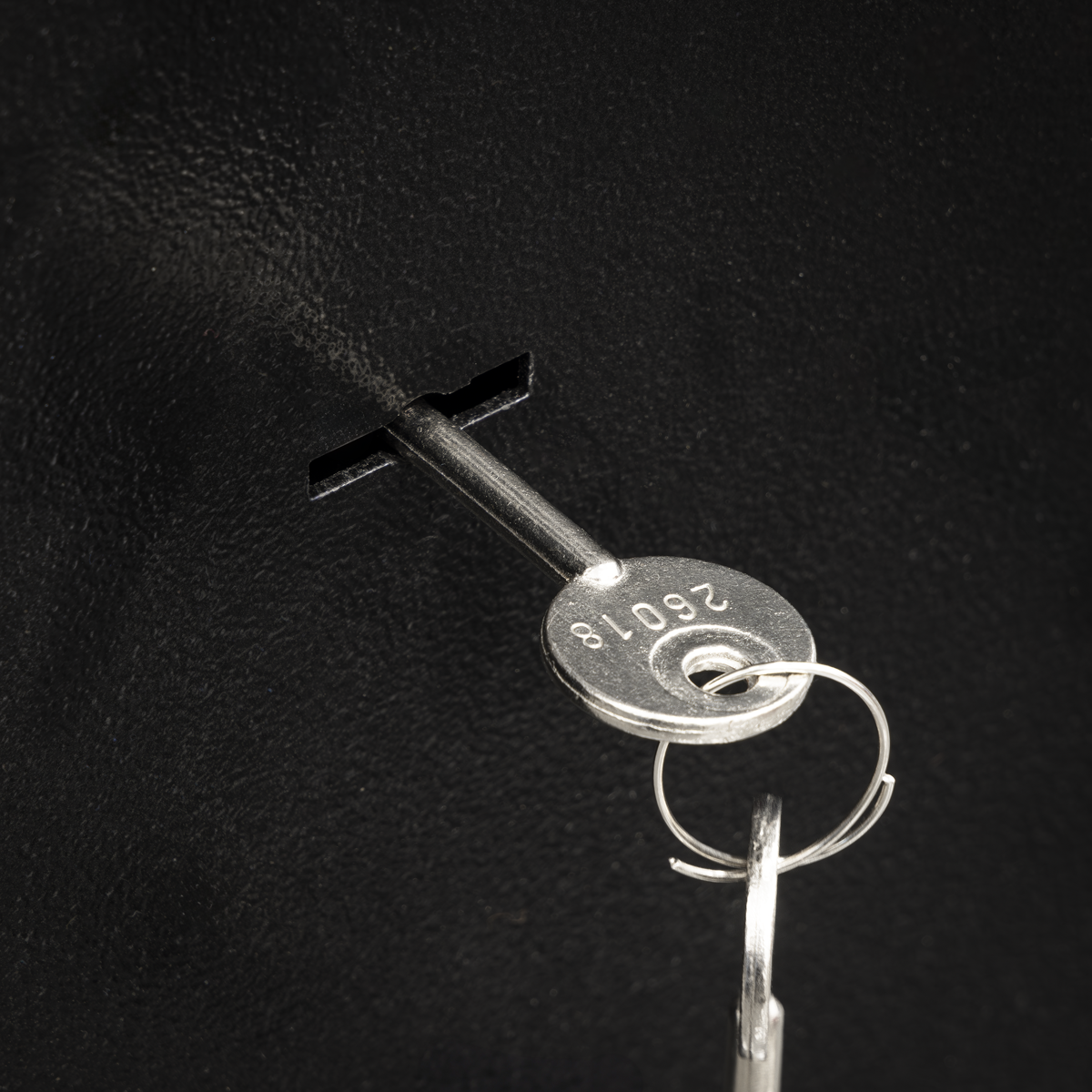 5 Gun Cabinet with Ammo Safe SGS5AB