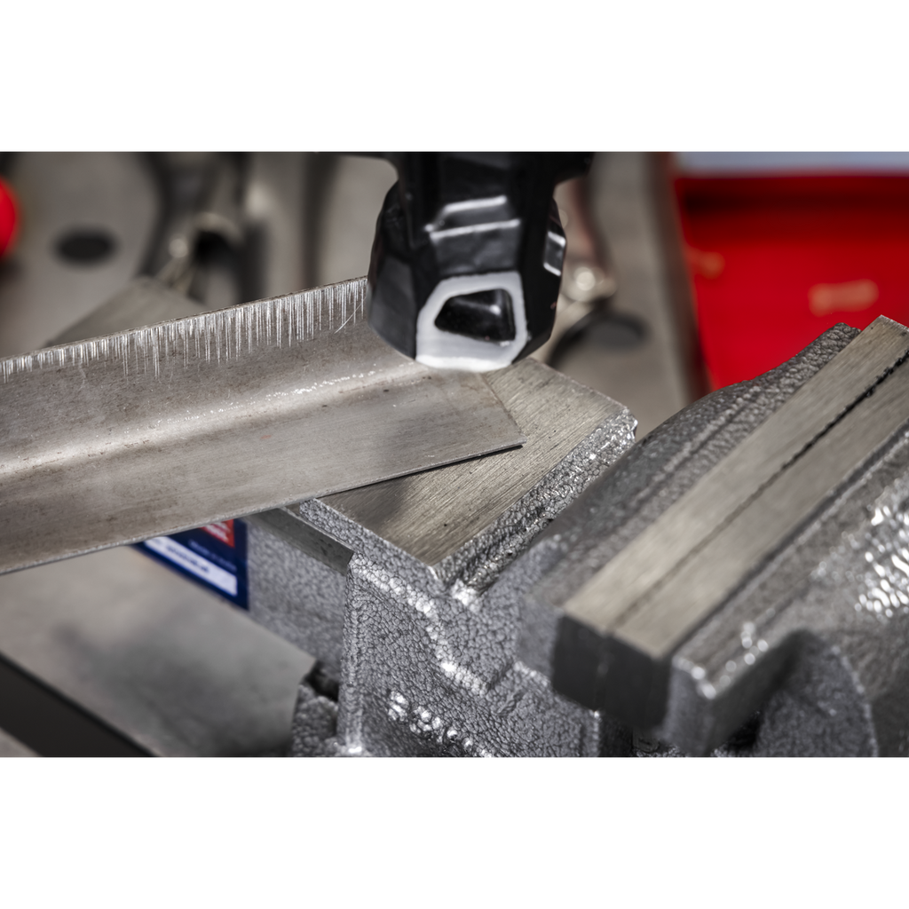 SG Iron Vice with Swivel Base 100mm SGV100L