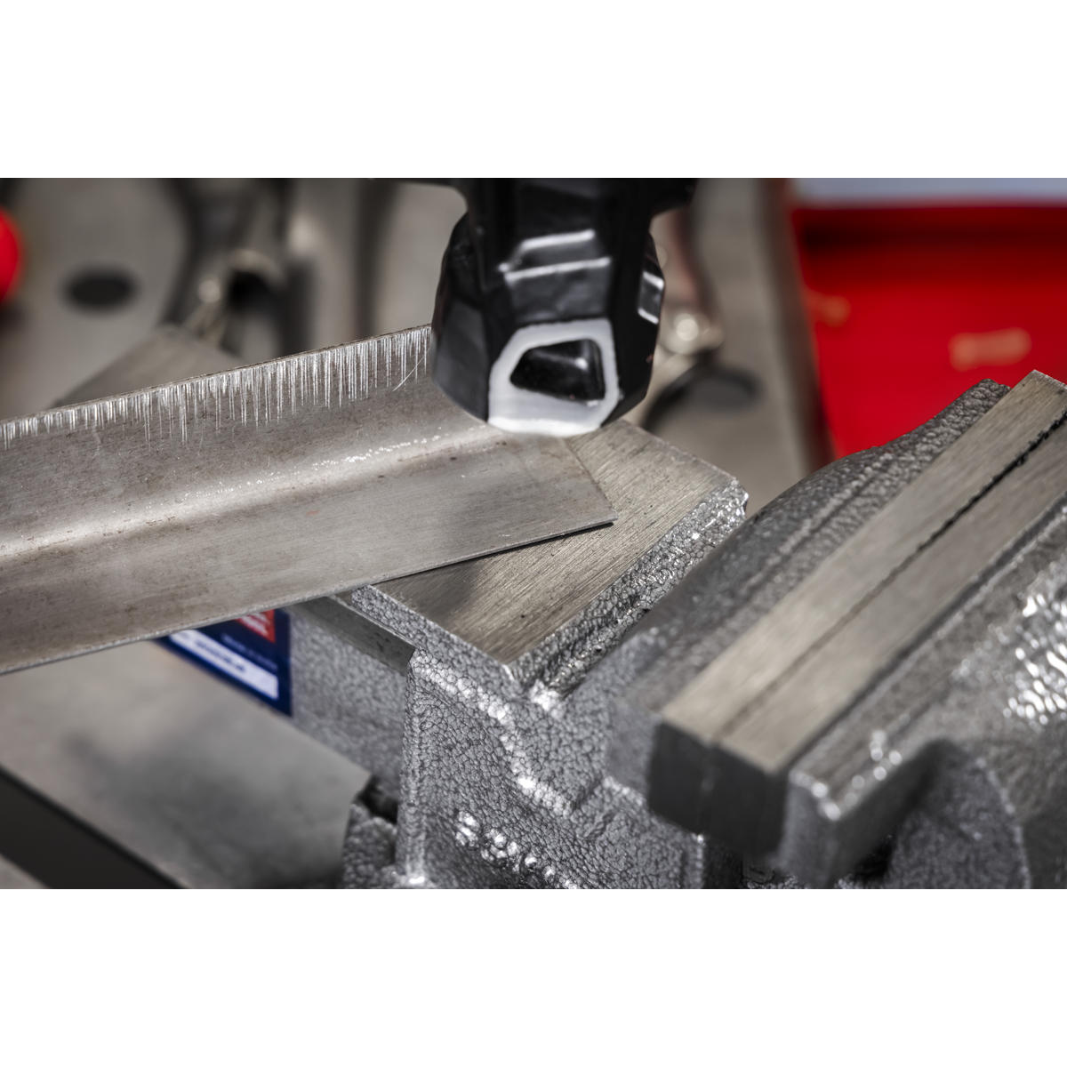 SG Iron Vice with Swivel Base 100mm SGV100L