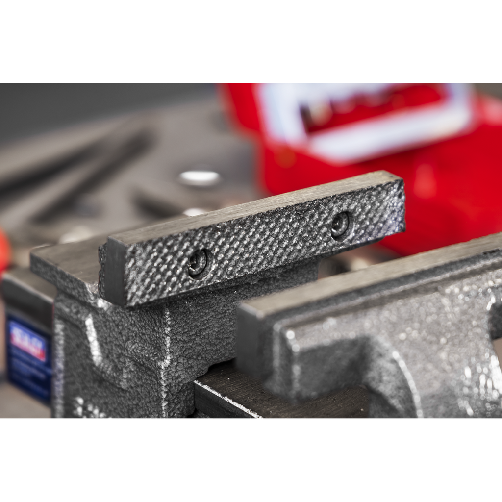 SG Iron Vice with Swivel Base 100mm SGV100L