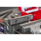 SG Iron Vice with Swivel Base 100mm SGV100L
