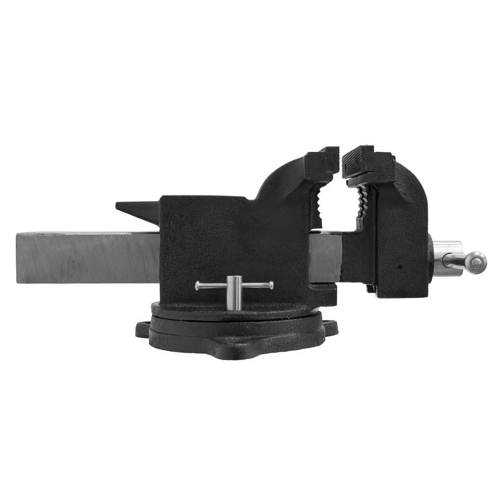 Vice Stand Deal BGVDSCOMBO2