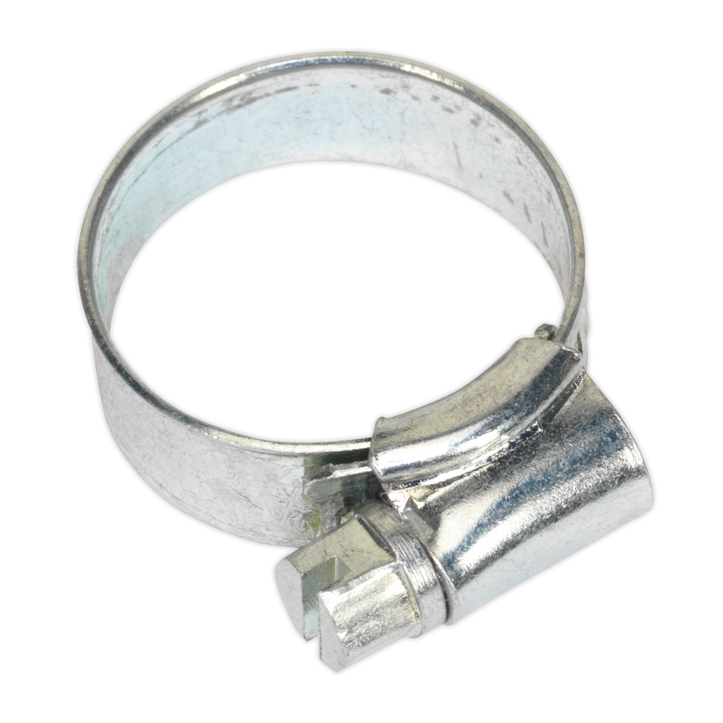 Zinc Plated Hose Clip 16-22mm - Pack of 30 SHC0