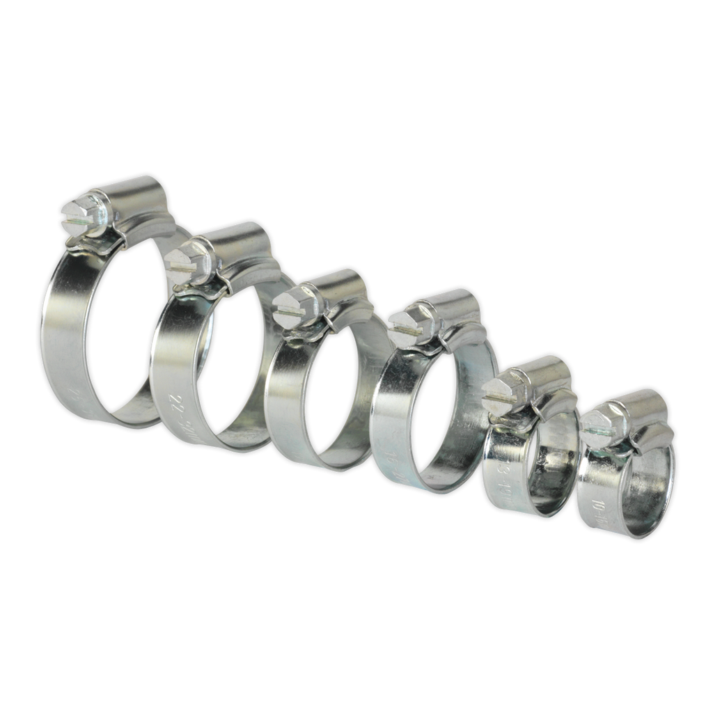 Zinc Plated Hose Clip Assortment 8-29mm 30pc SHCS1