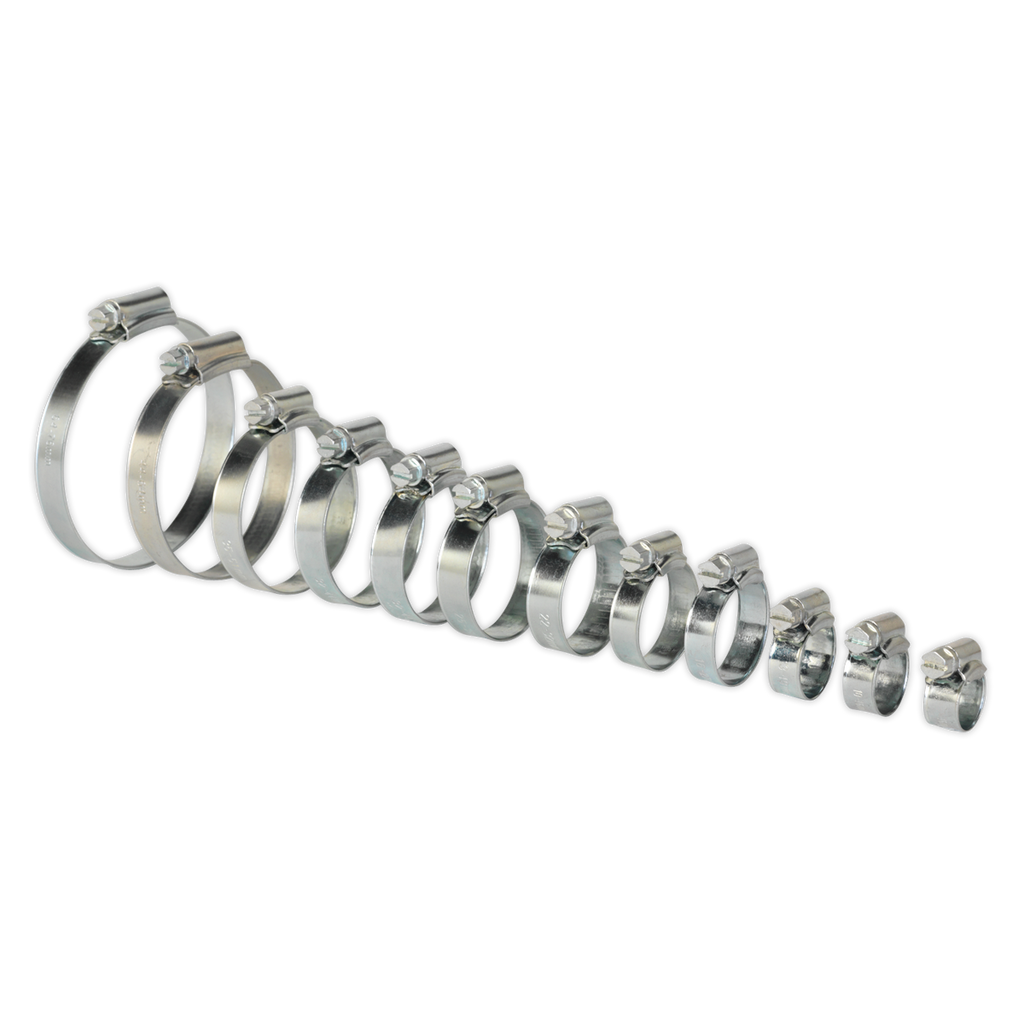 Zinc Plated Hose Clip Assortment 8-57mm 85pc SHCS3