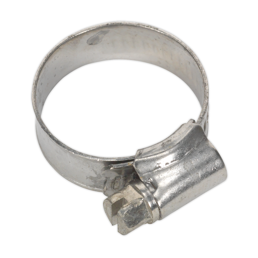 Stainless Steel Hose Clip 16-27mm - Pack of 10 SHCSS0