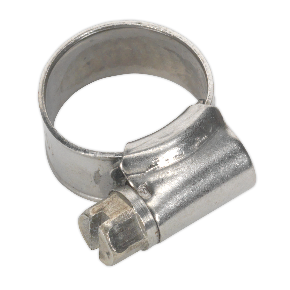 Stainless Steel Hose Clip 10-16mm - Pack of 10 SHCSS000