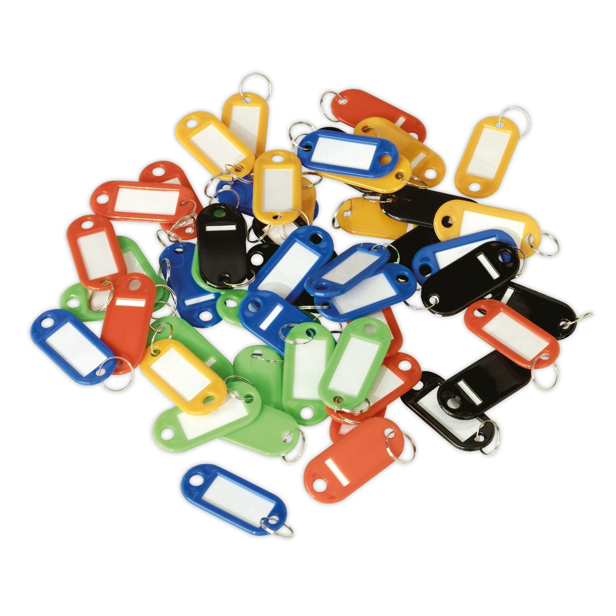 Key Tag Assortment 50pc SKTAG50