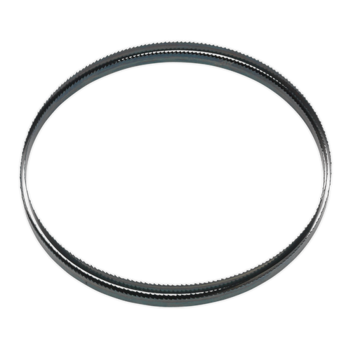 10tpi Bandsaw Blade 1712 x 10mm x 0.35mm SM1304B10