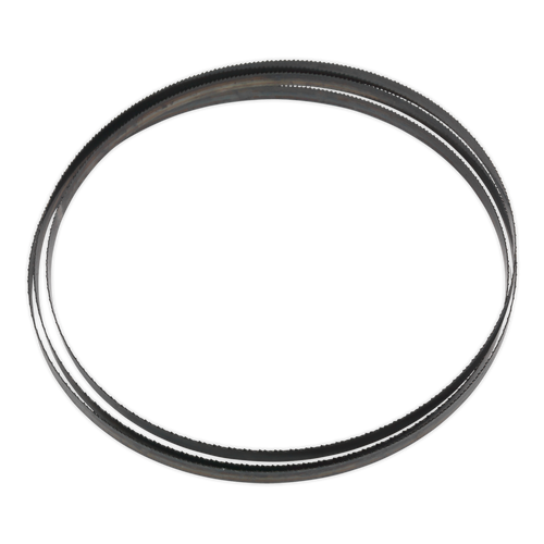 10tpi Bandsaw Blade 2400 x 12 x 0.6mm SM1306B10