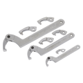 Adjustable C-Spanner Hook & Pin Wrench Set 11pc SMC2