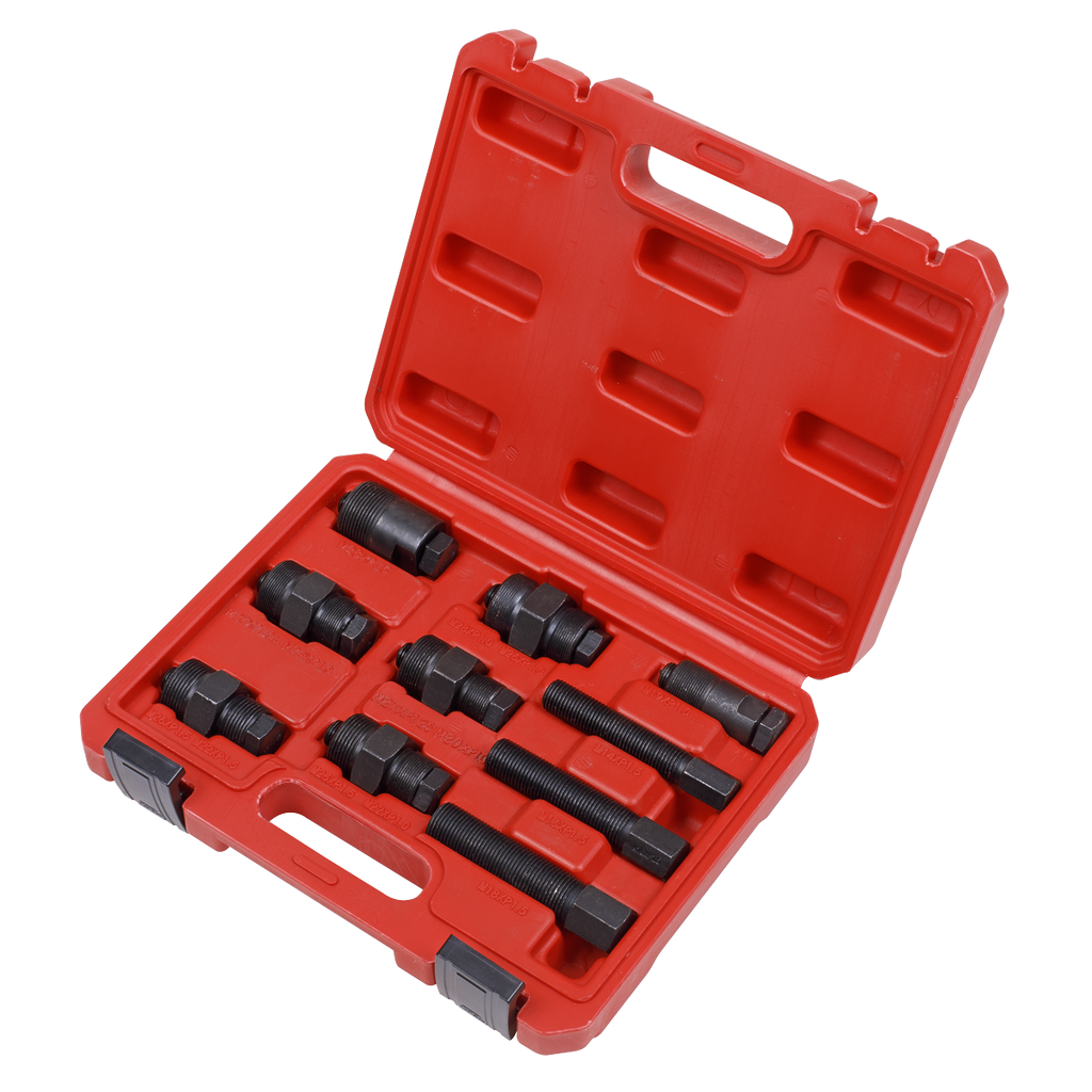 Motorcycle Flywheel Puller Set 10pc SMC48