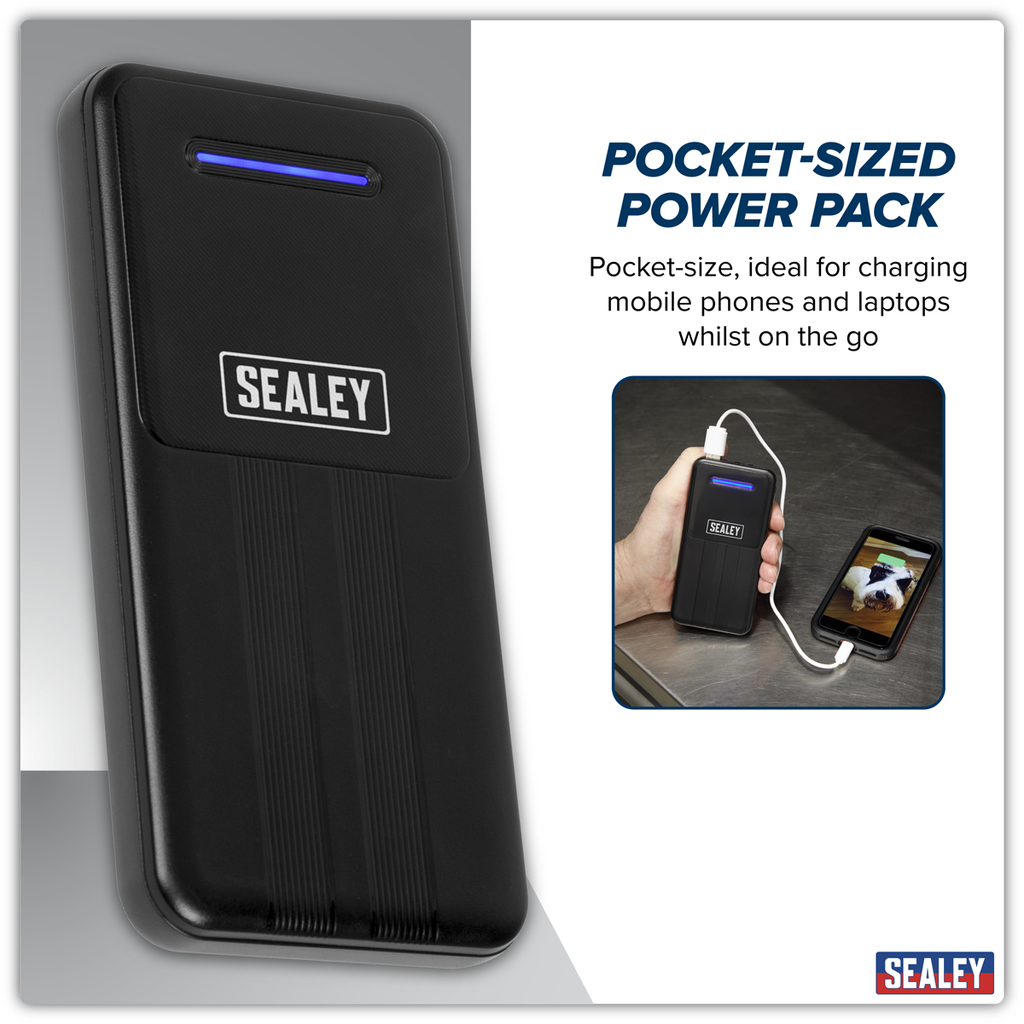 Portable Power Bank 10W 10000mAh SPB101