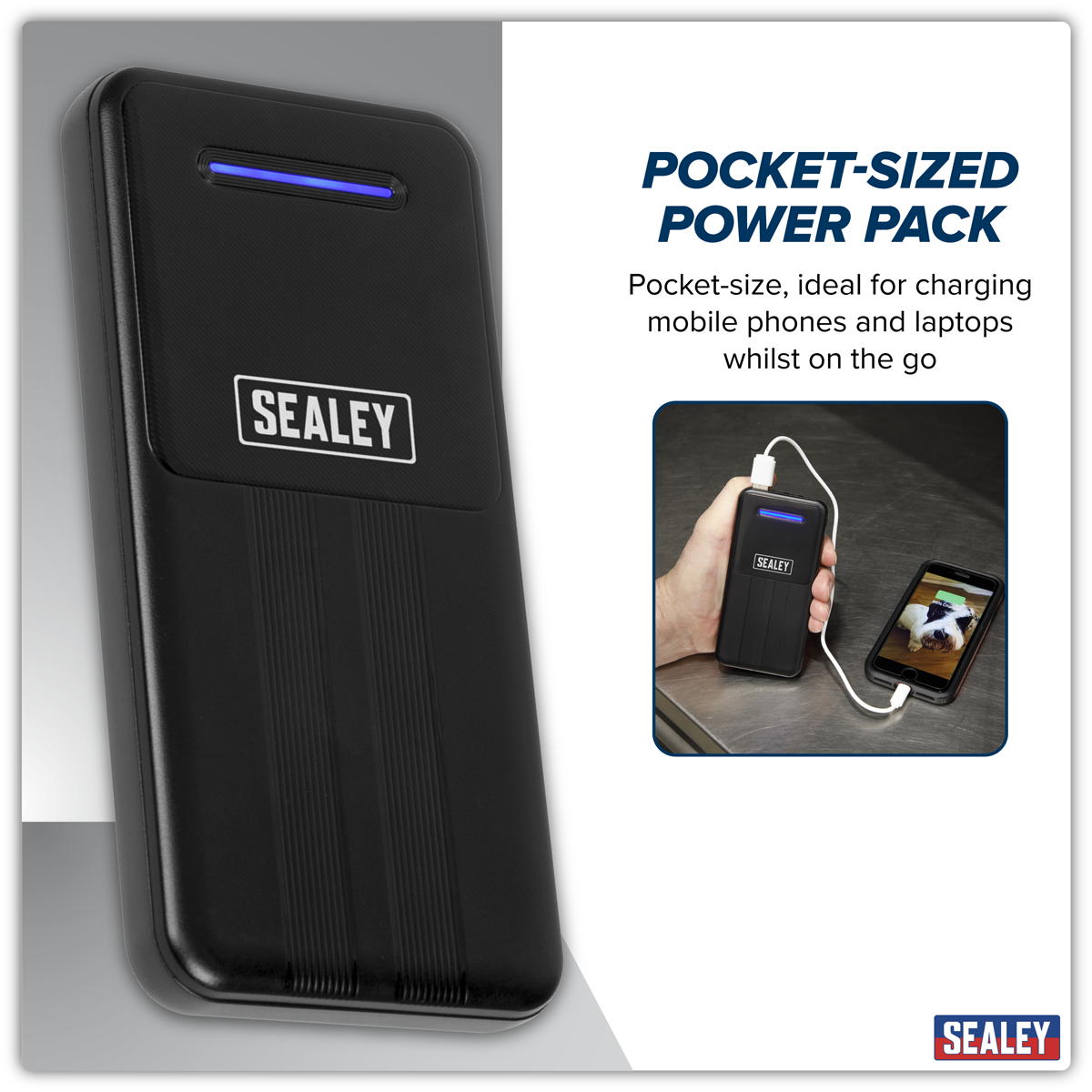 Portable Power Bank 10W 10000mAh SPB101