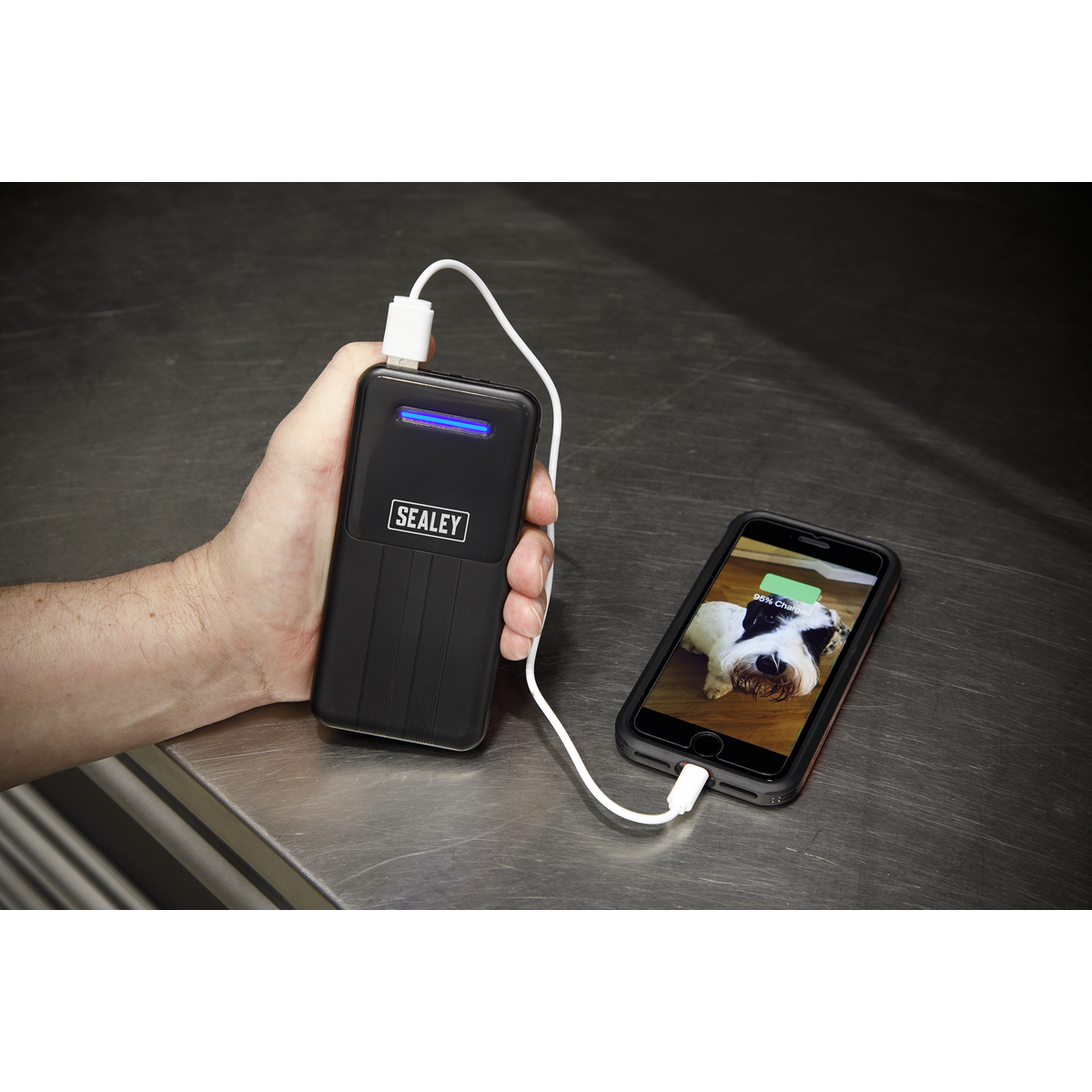Portable Power Bank 10W 10000mAh SPB101