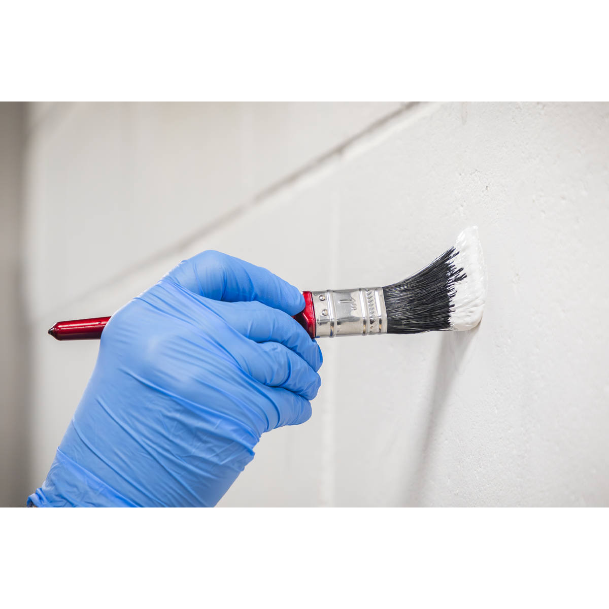 Pure Bristle Paint Brush 25mm - Pack of 10 SPB25S