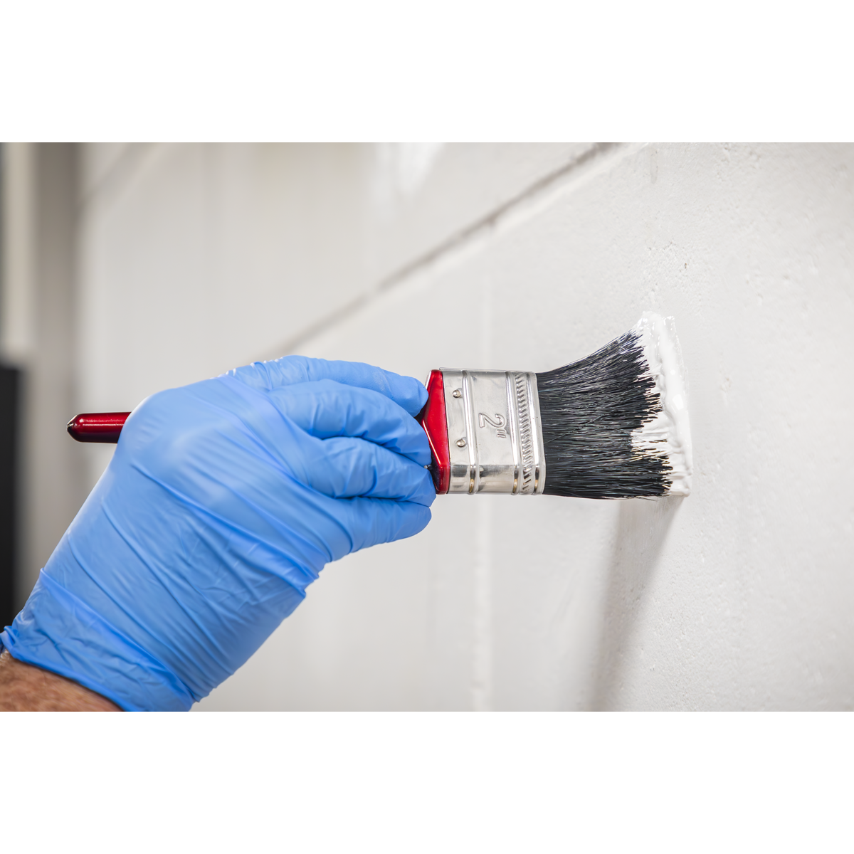 Pure Bristle Paint Brush 50mm - Pack of 10 SPB50S